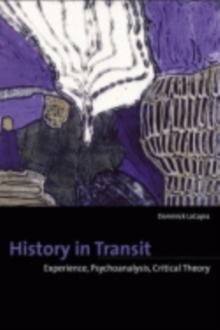 Image for History in transit  : experience, identity, critical theory