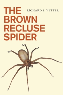 Image for Brown Recluse Spider
