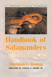 Image for Handbook of Salamanders