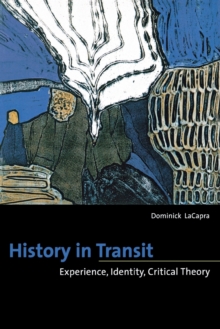 Image for History in transit  : experience, identity, critical theory