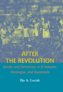 Image for After the revolution: gender and democracy in El Salvador, Nicaragua, and Guatemala
