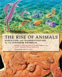 Image for The Rise of Animals : Evolution and Diversification of the Kingdom Animalia