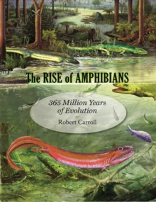 Image for The Rise of Amphibians