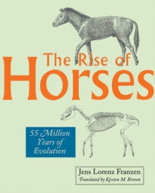 Image for The Rise of Horses