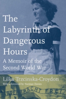 Image for The Labyrinth of Dangerous Hours : A Memoir of the Second World War