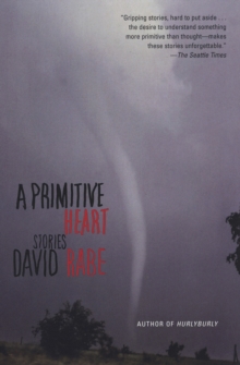 Image for A Primitive Heart: Stories