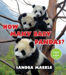 Image for How Many Baby Pandas?