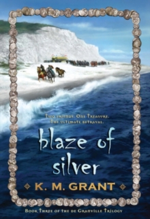 Image for Blaze of Silver