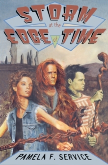 Image for Storm at the edge of time