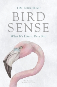 Image for Bird Sense