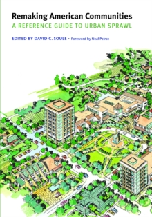 Remaking American Communities