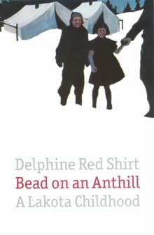 Bead on an Anthill