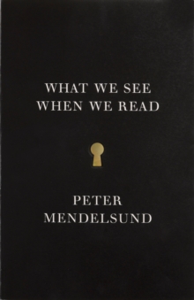 Image for What we see when we read  : a phenomenology with illustrations