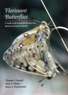Image for Florissant Butterflies