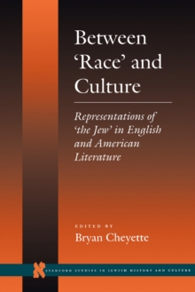 Image for Between 'Race' and Culture