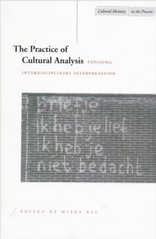 Practice of Cultural Analysis