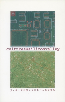 Cultures@SiliconValley