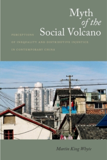 Myth of the Social Volcano