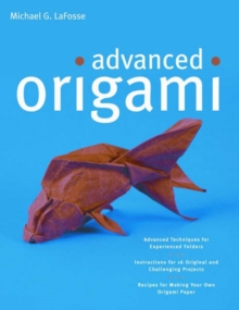 Image for Advanced origami