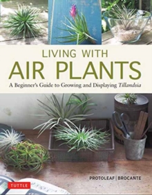 Image for Living with Air Plants