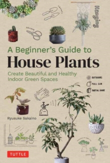 A Beginner’s Guide to House Plants: Creating Beautiful and Healthy Green Spaces in Your Home