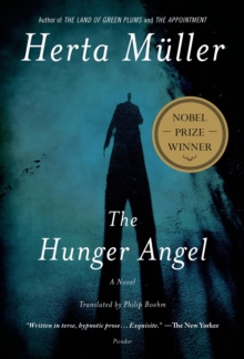 Image for Hunger Angel: A Novel