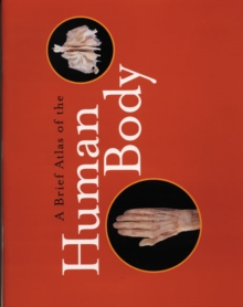 Image for Brief Atlas of the Human Body