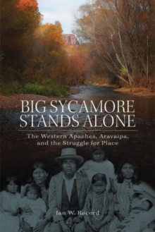 Image for Big Sycamore Stands Alone