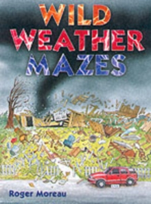 Image for Wild weather mazes