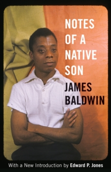 Image for Notes of a native son