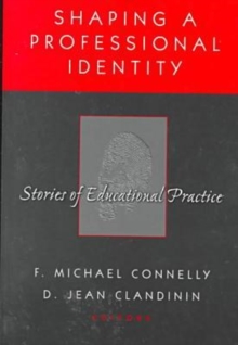Image for Storied Identities