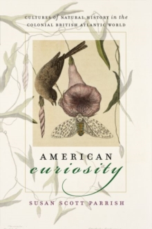Image for American Curiosity