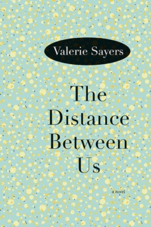 Image for The Distance Between Us : A Novel