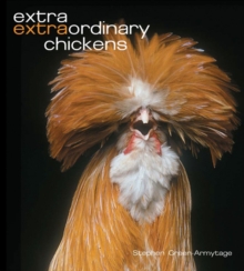 Image for Extra Extraordinary Chickens