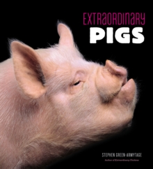 Image for Extraordinary Pigs