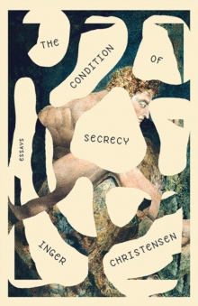 Image for The condition of secrecy  : essays