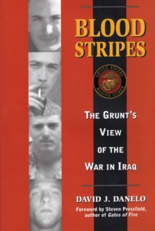 Image for Blood Stripes : The Grunt's View of the War in Iraq