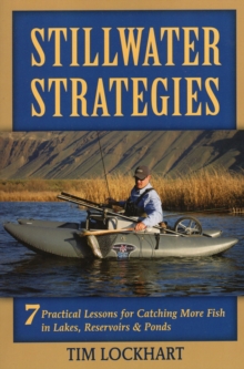 Image for Stillwater Strategies