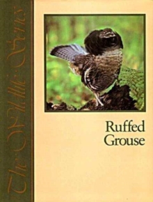 Image for Ruffed Grouse