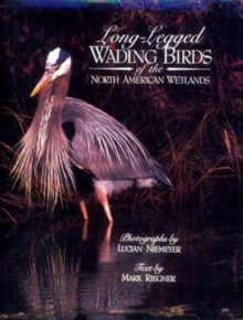 Image for Long-legged Wading Birds of the North American Wetlands