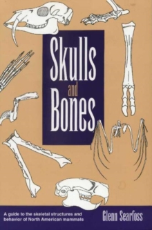 Skulls and Bones