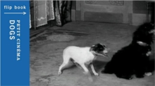 Image for Petit Cinema Flip Books: Dogs