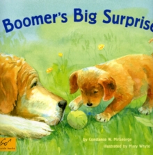 Image for Boomer's Big Surprise