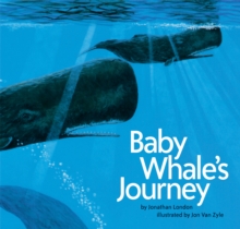 Image for Baby whale's journey