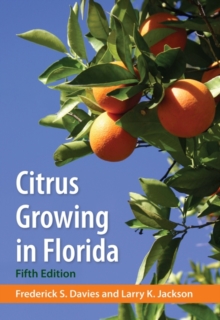 Image for Citrus Growing In Florida