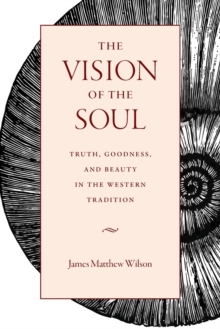 Image for The Vision of the Soul