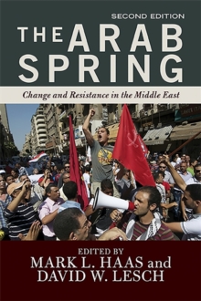 Image for The Arab Spring  : the hope and reality of the uprisings