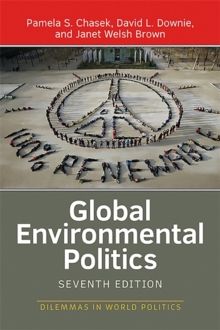 Image for Global environmental politics