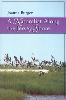 Image for A Naturalist Along the Jersey Shore