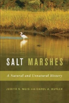 Image for Salt marshes  : a natural and unnatural history